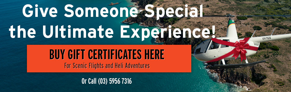 Helicopter Scenic Flight Gift Certificates